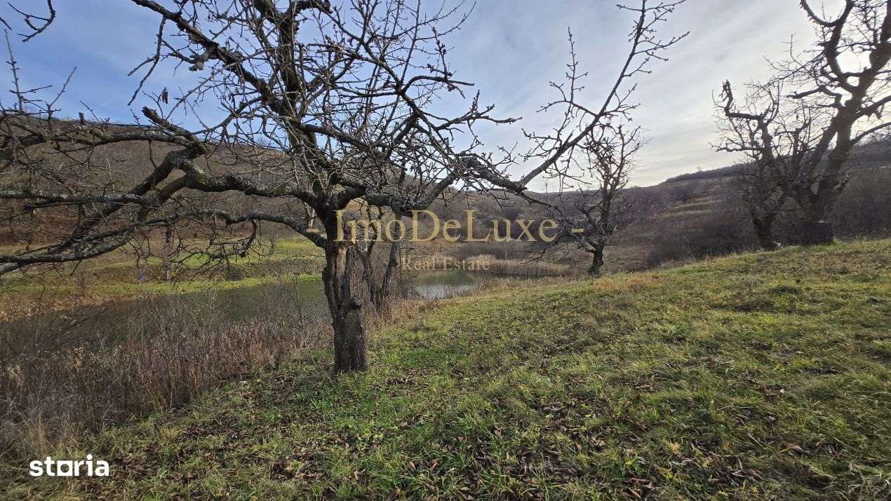 Teren extravilan langa lac, 8500mp, priveliste, zona comunei Baciu - Imagine principală: 4/10
