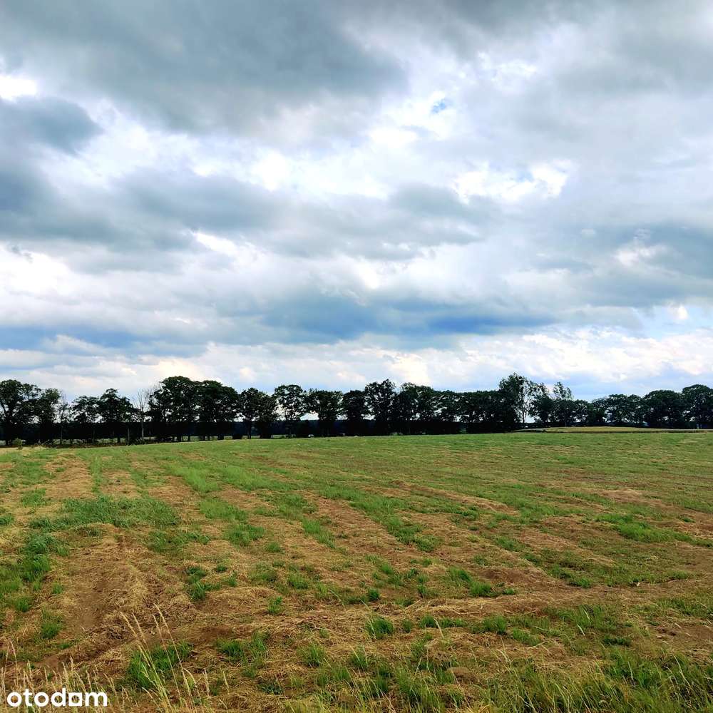 Działki budowlane - w okolicy jezioro i lasy,MPZP-1