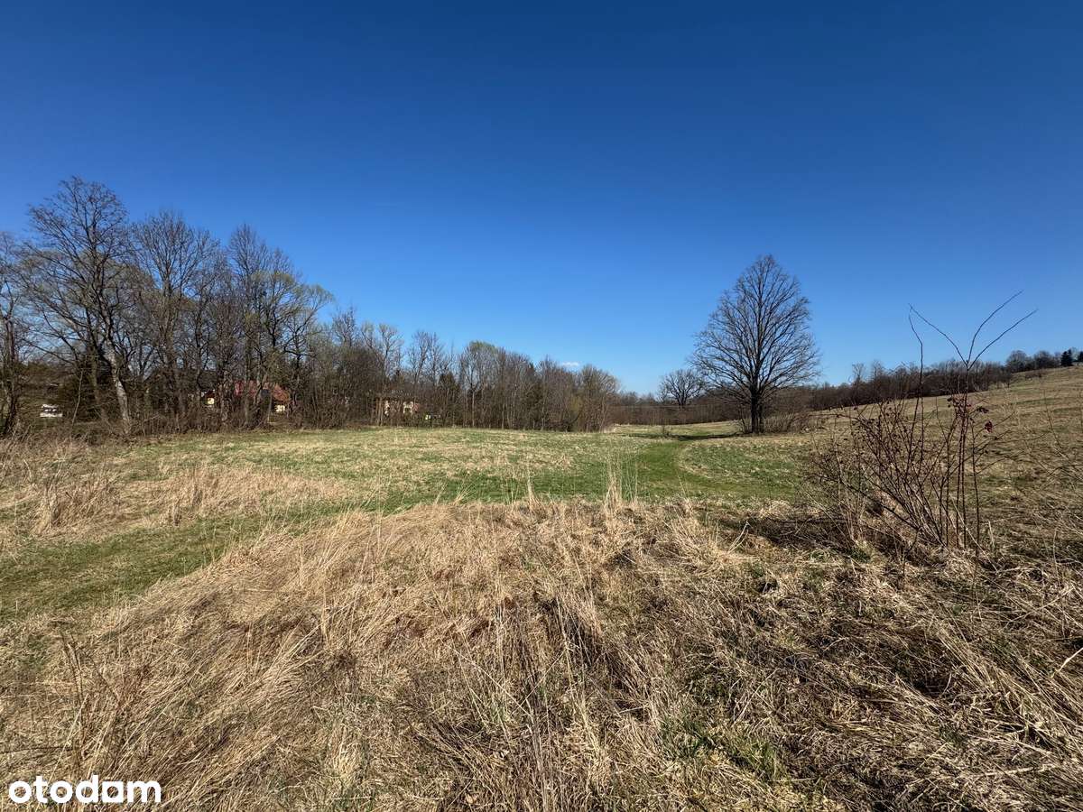 Mała i tania działka budowlana, cisza i spokój! - Pełny obrazek: 4/8