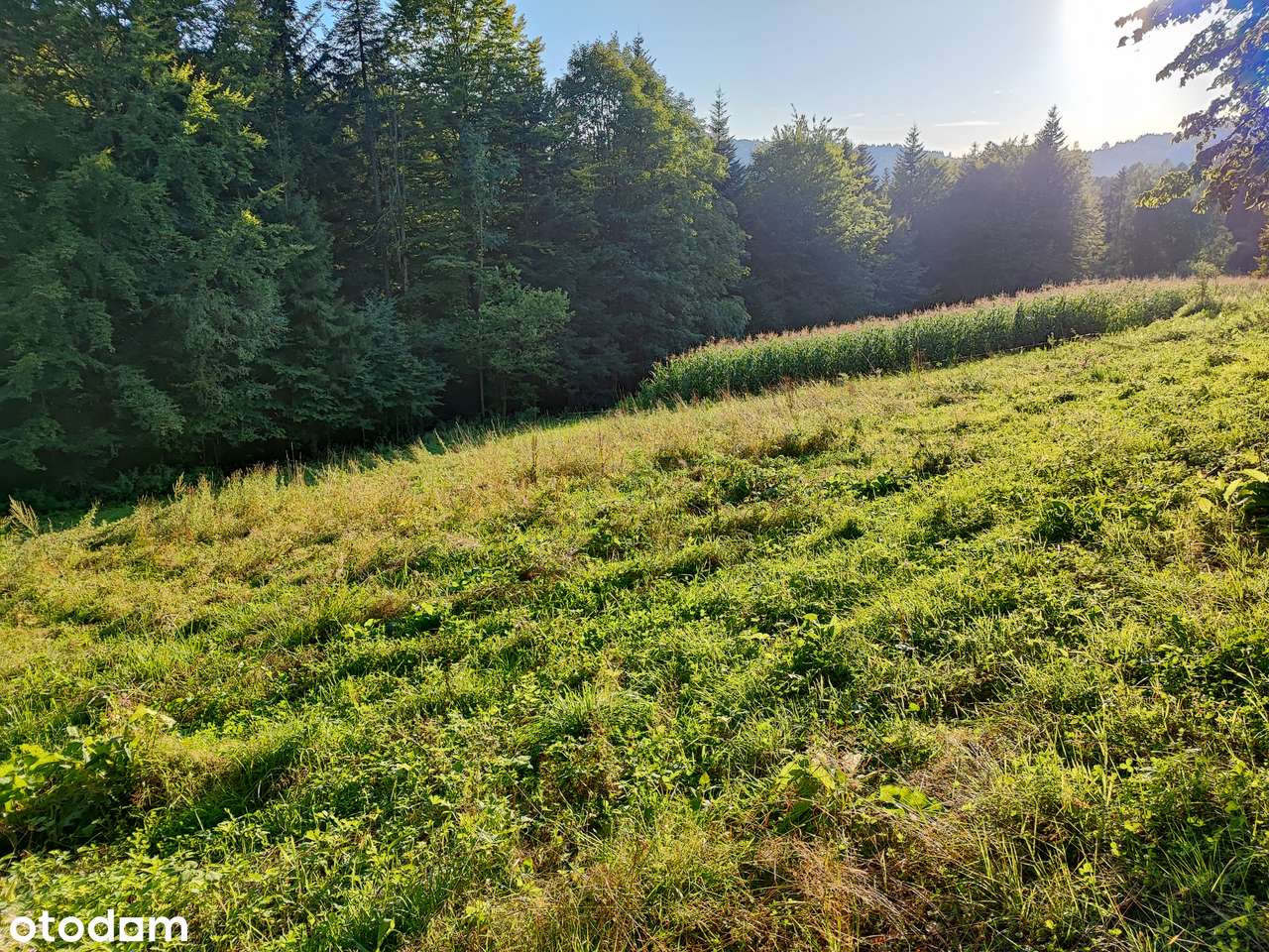 Na krańcu świata, budowlana, w górach, idealna pod domki na wynajem-5