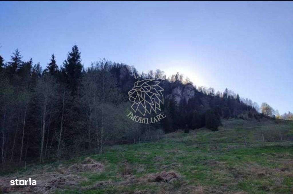 Teren intravilan 3200mp-parcelabil-panorama-Colibita-EXCULSIV - Imagine principală: 3/4