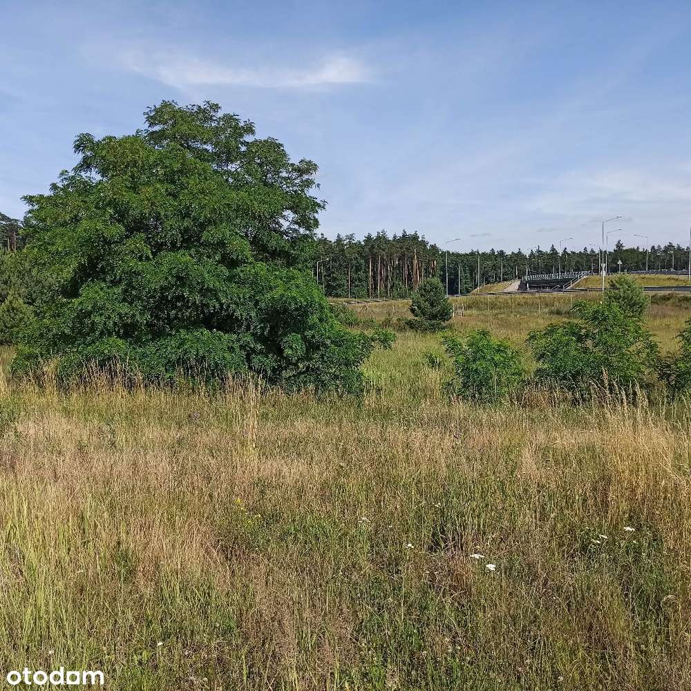 Działka Nietążkowo 3461m2 magazyny usługi-6