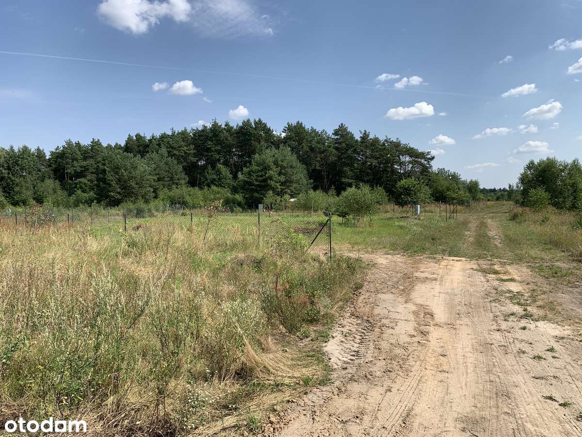 Działka budowlana między jeziorami i lasami – Róscinno, gm. Skoki-0