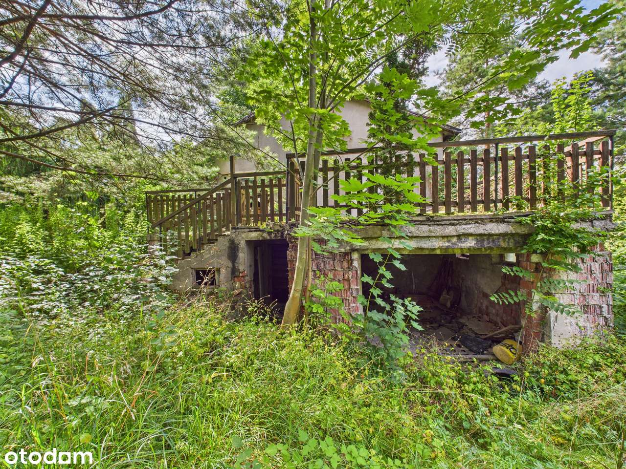 Zielona Działka z Własnym Źródłem i Stawikiem w Świetnej Lokalizacji!-12