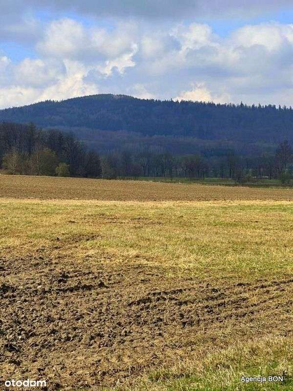 Działka w górach, okolice Karpacza-5