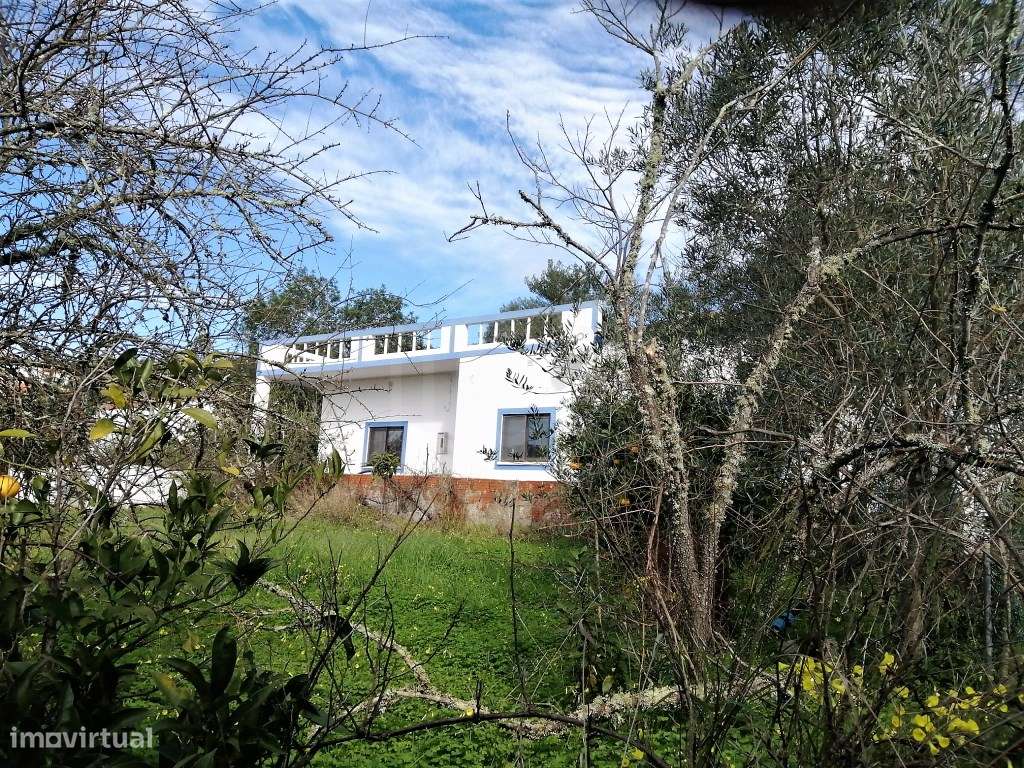 Moradia isolada no interior algarvio, Loulé, Algarve - Grande imagem: 3/26