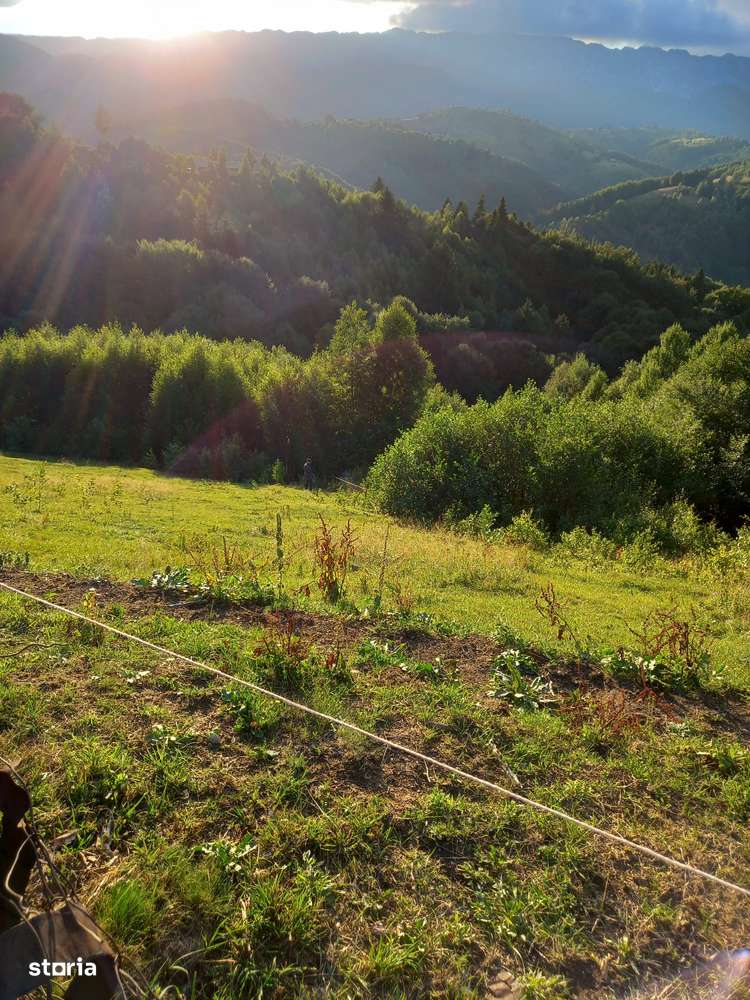 Teren intravilan cu priveliste superba catre munti, Moeciu de Jos-6