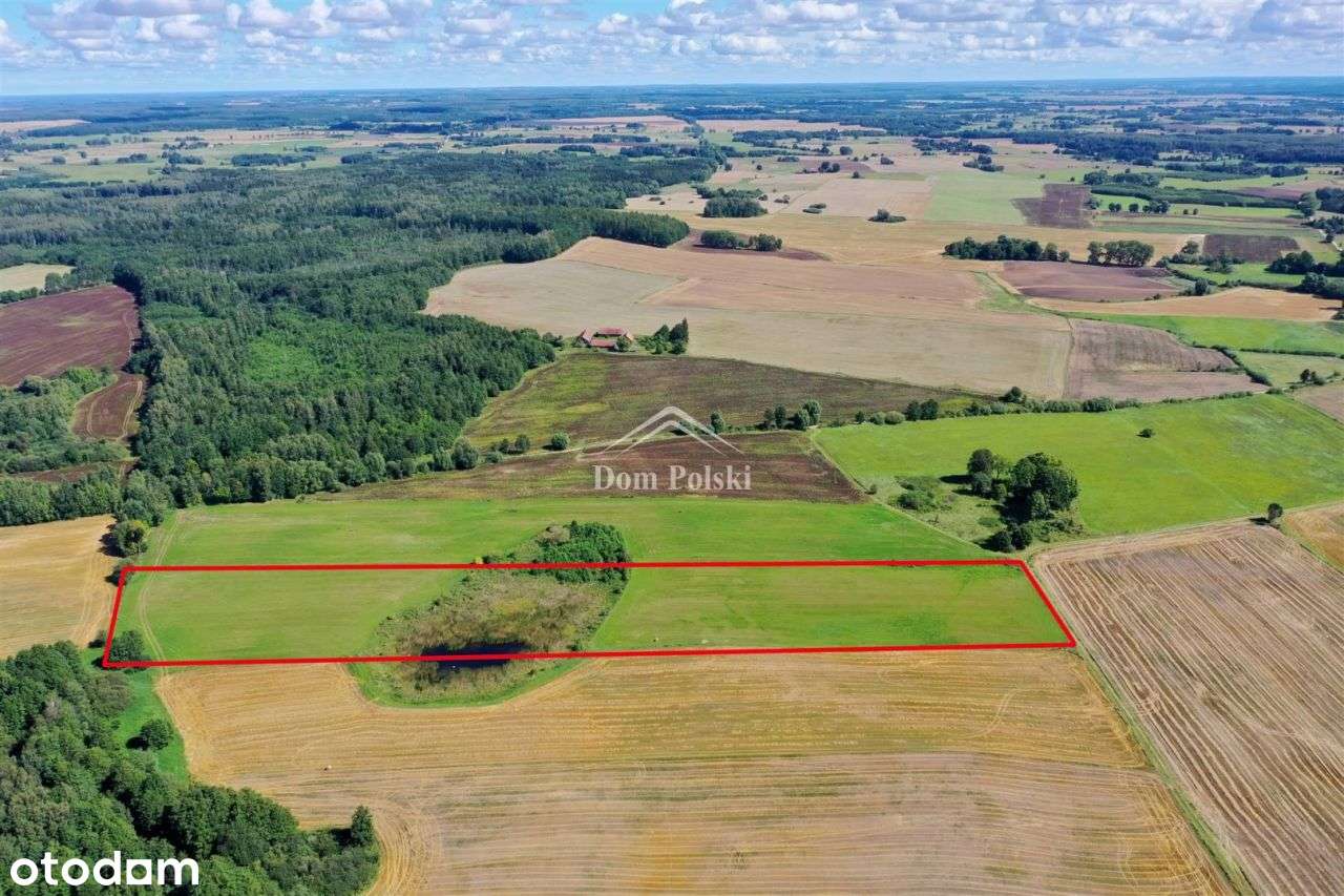 Grunt rolny 29,50 ha - Wilkowo, gm. Węgorzewo - Pełny obrazek: 5/15