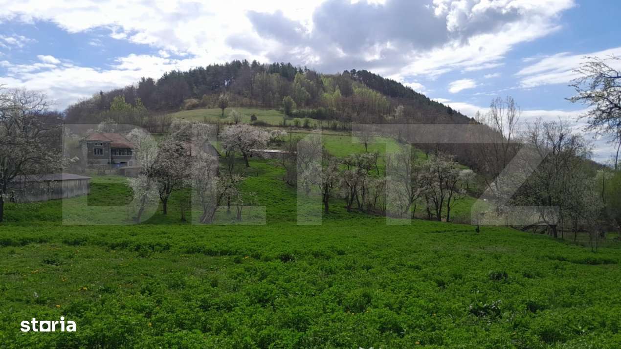 Casa individuala, 5500 mp teren, zona Vintu de Jos, Inuri - Imagine principală: 3/4