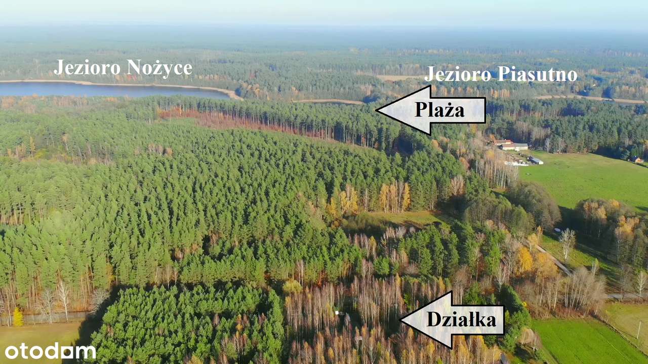 Piasutno. Działka rekreacyjna-18