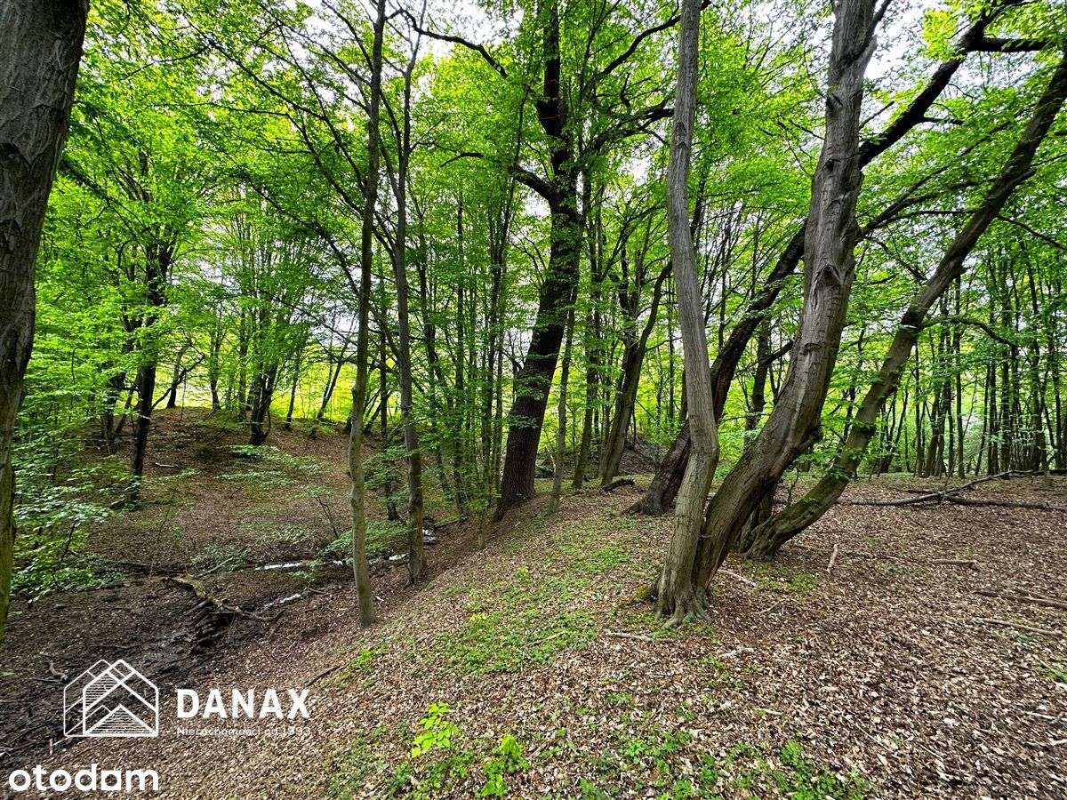 Działka budowlana przy lesie oraz strumyku