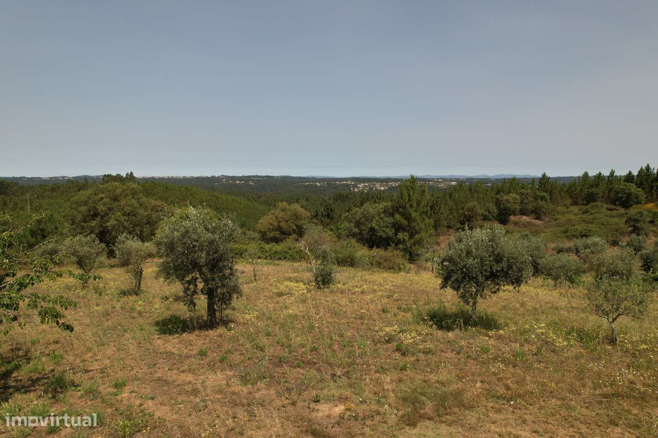 Terreno urbanizável de 4200m2, permite construção de moradia de 210m2-3