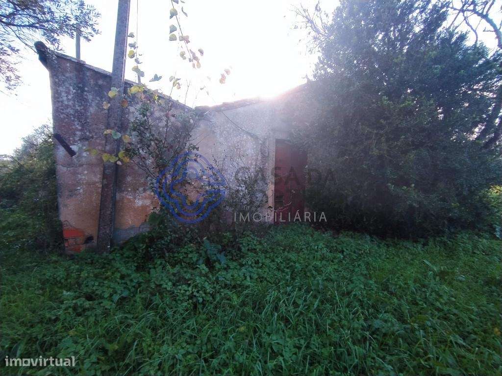 Terreno com ruína para reconstruir na cidade de Tomar no Centro de Por - Grande imagem: 4/37