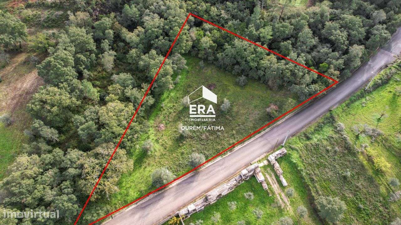 Terreno Rústico localizado no Vilar dos Prazeres - Grande imagem: 5/19