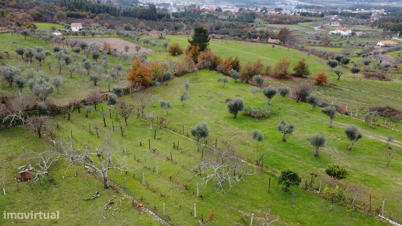 Quinta T3 Venda em Santa Marinha e São Martinho,Seia-14