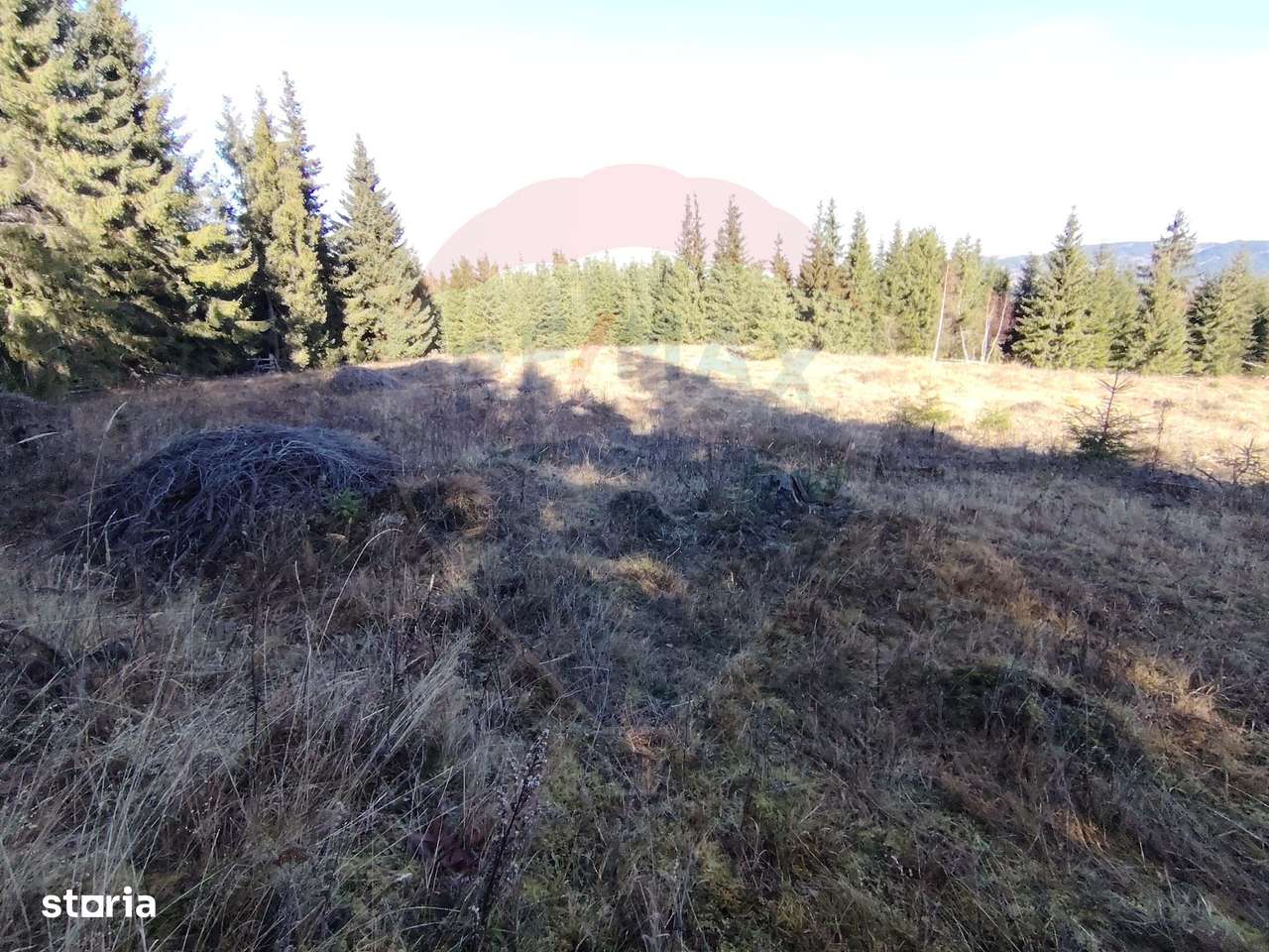 Teren 16,289mp Coverca / Drumul Bucinis-8