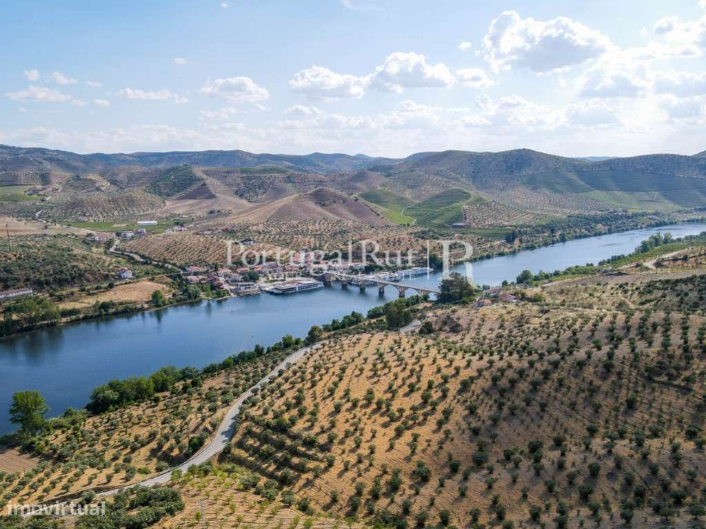 Quinta em Barca D'Alva - Douro - Grande imagem: 5/51