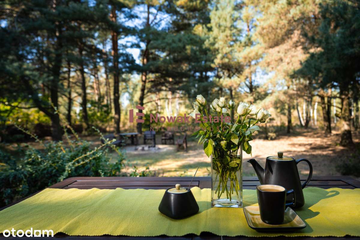 przy lesie, z dużą działką, 15min do Białegostoku-5