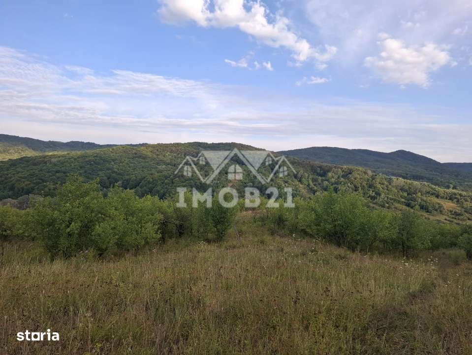 Teren spectaculos cu padure, livada si priveliste panoramica in Soimar-11