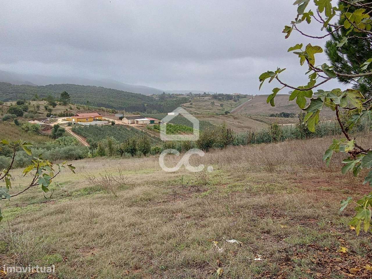 Oportunidade de investimento, Terreno Rústico com potencial de constru-5