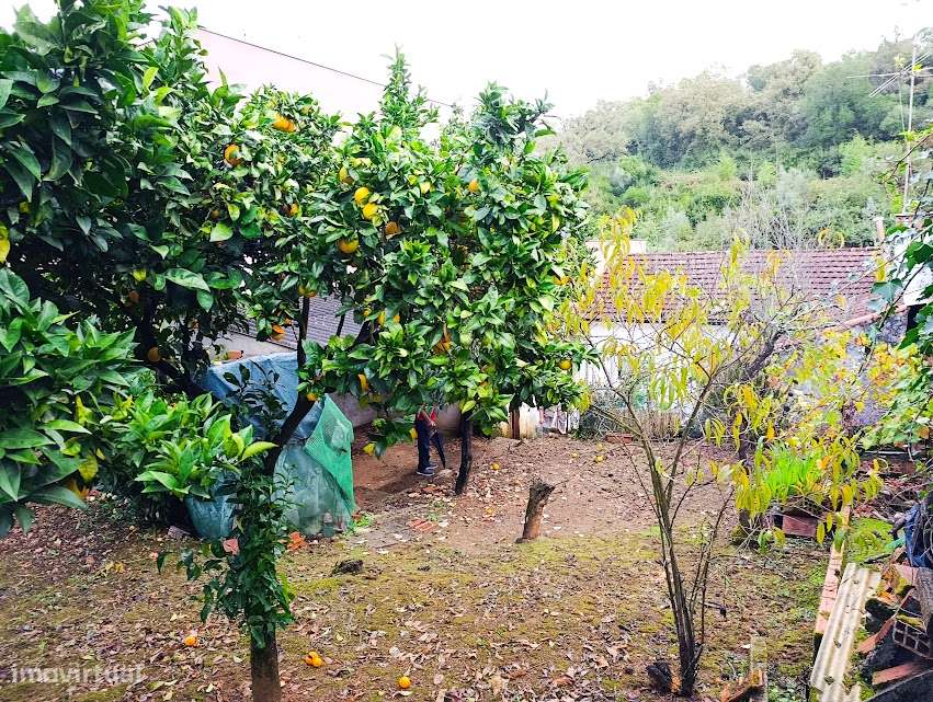 Moradia T3 geminada, com quintal, em Santa Clara, Coimbra-29