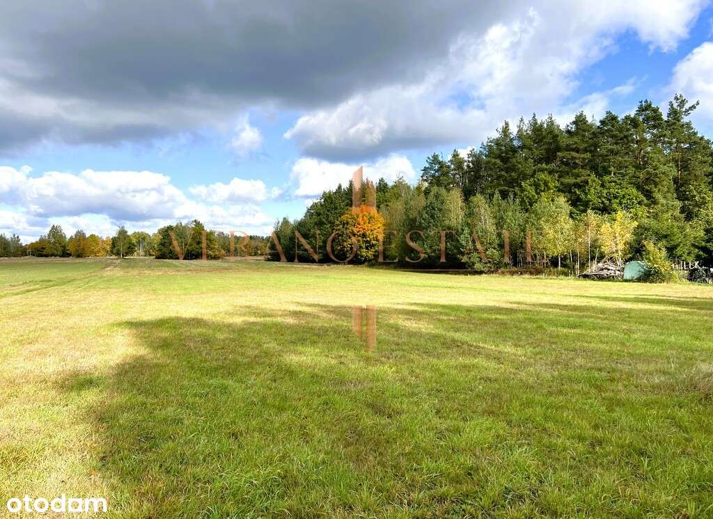 Piękna działka 2693 m2 w Ryczołku | Wydane WZ - Pełny obrazek: 5/7