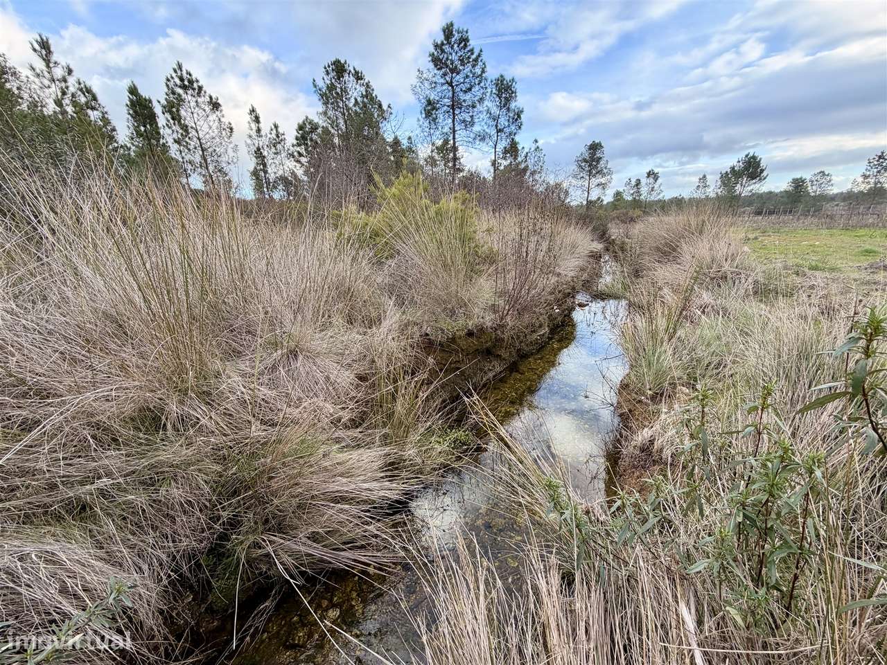 Quinta T0 Venda em Sarzedas,Castelo Branco-13