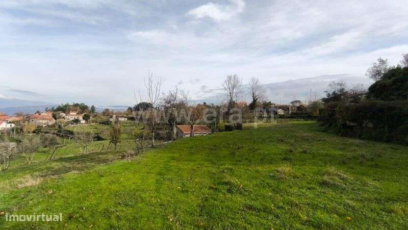 Terreno Rústico / Cinfães, Cinfães - Grande imagem: 3/7