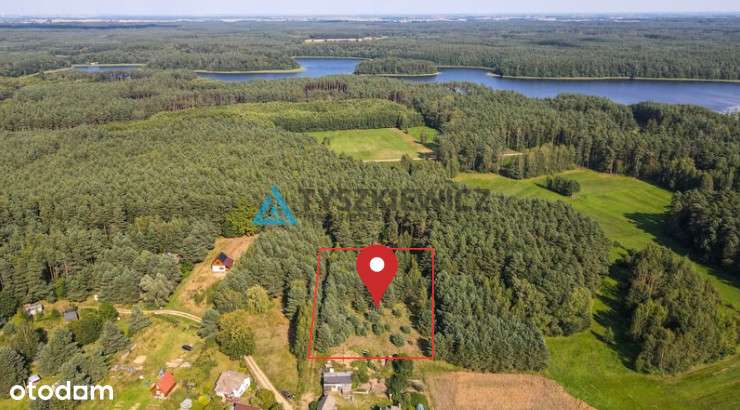 Działka wśród natury-lasów i jezior- Osiek - Pełny obrazek: 4/20