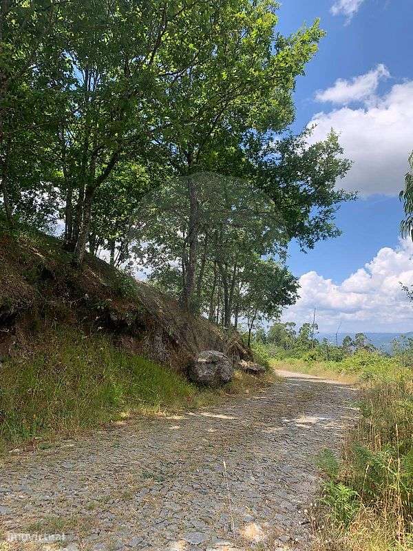 Terreno  para venda-7