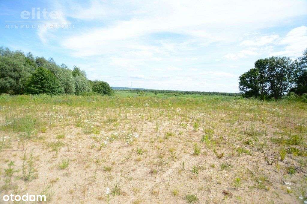 Kurów działka z widokiem na rzekę oraz z mediami - Pełny obrazek: 5/7