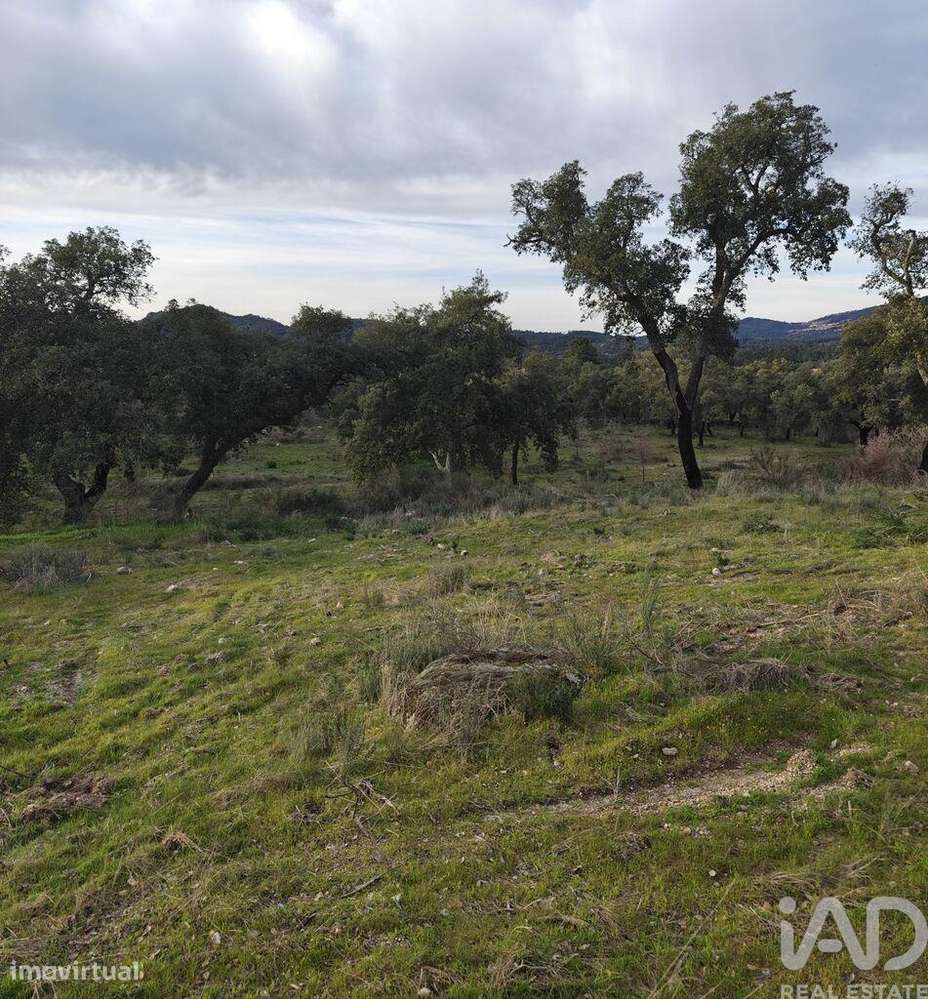 Terreno em Monsanto e Idanha-a-Velha - Grande imagem: 5/6