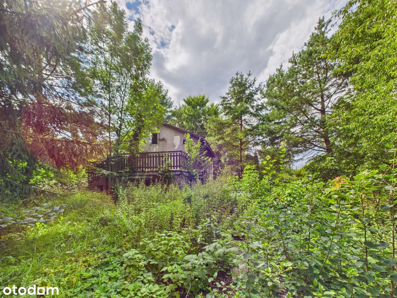 Zielona Działka z Własnym Źródłem i Stawem w Świetnej Lokalizacji!-3