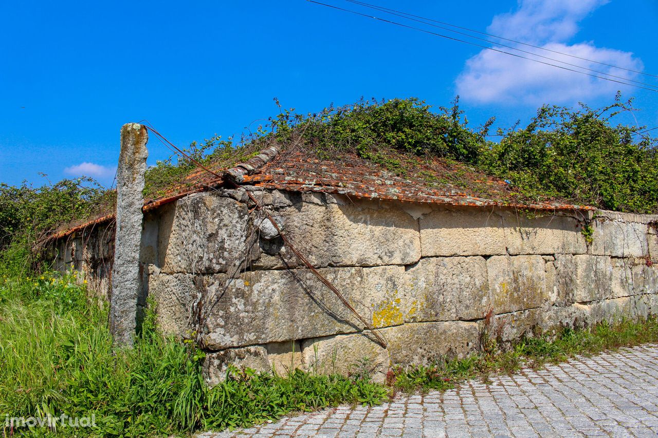 Quinta do Tapadinho com casas para restauro no centro de Vila Boa do B