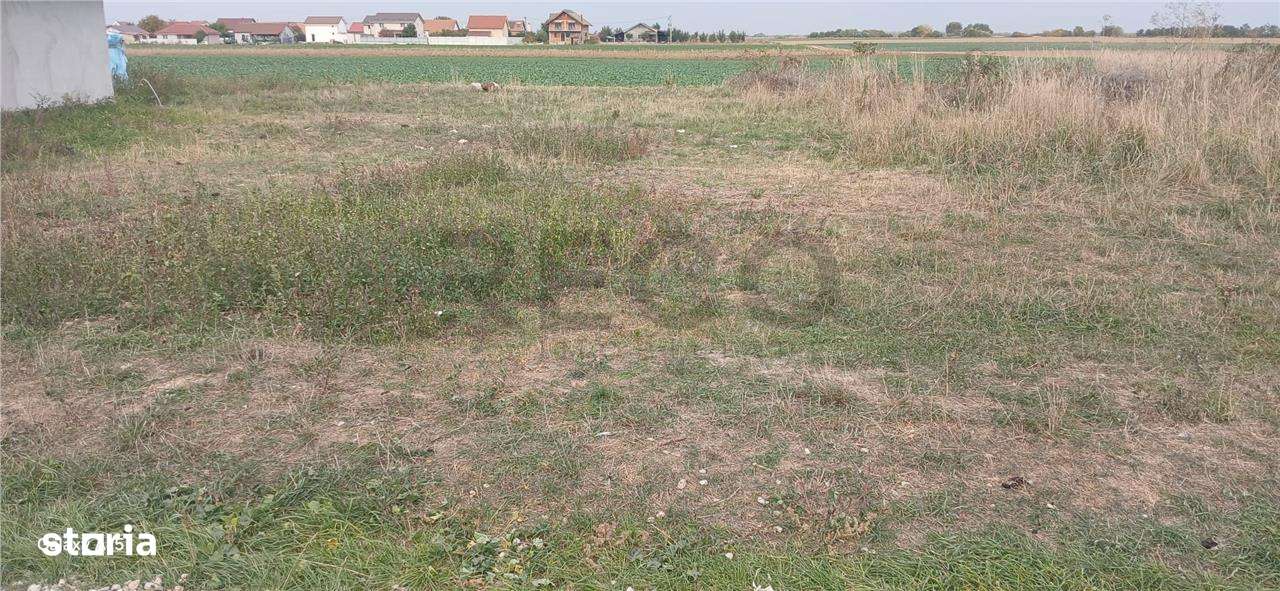 RECO Teren intravilan in Tarian - Imagine principală: 3/4