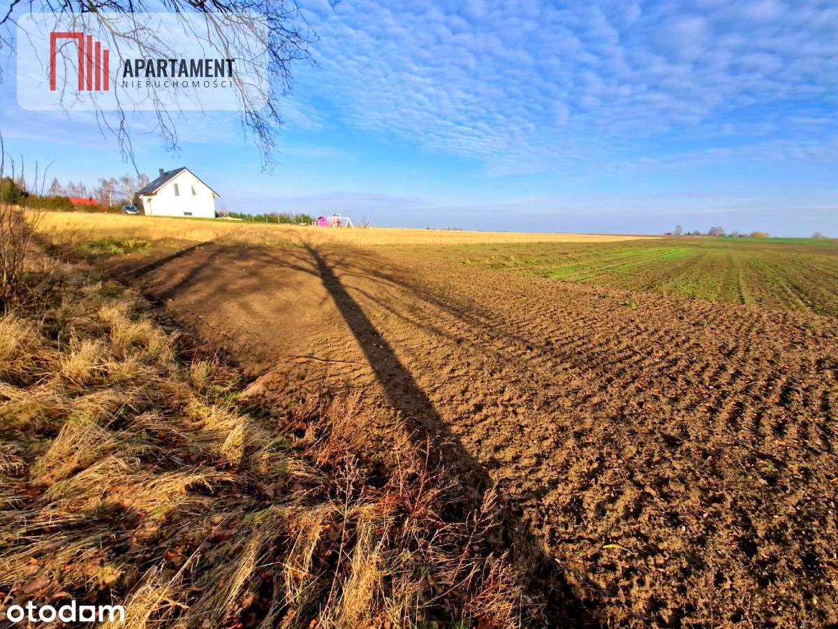 Tylko U Nas! Miejsce na Twój wymarzony dom! - Pełny obrazek: 4/5