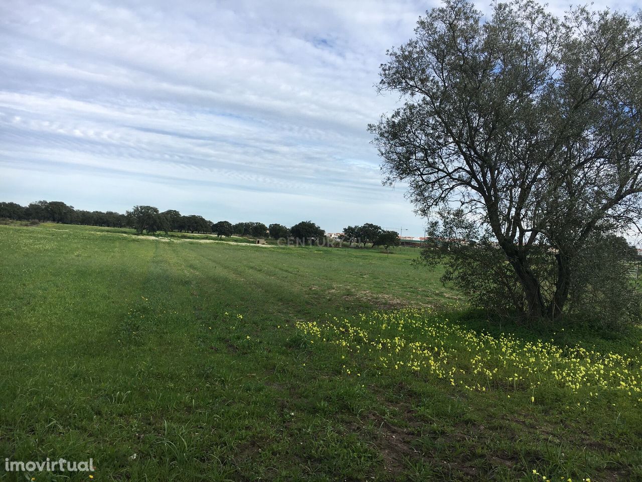 Terreno na zona do Terrim em Pinhal Novo