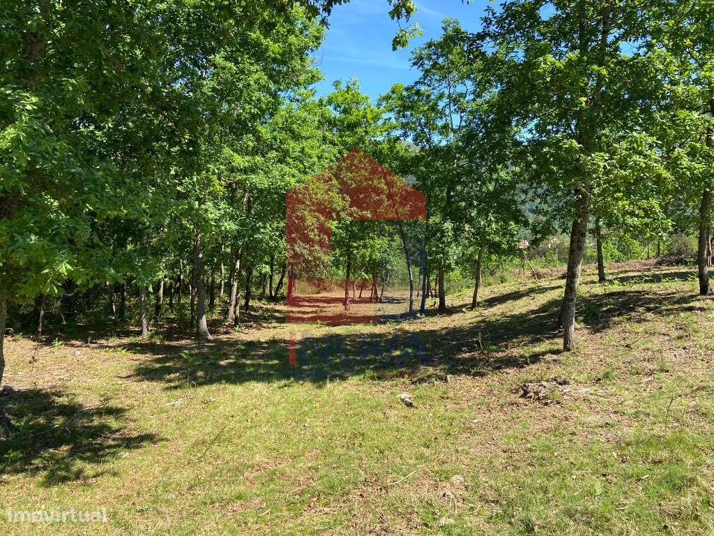 Terreno Agrícola, Valbom São Pedro - Grande imagem: 5/12