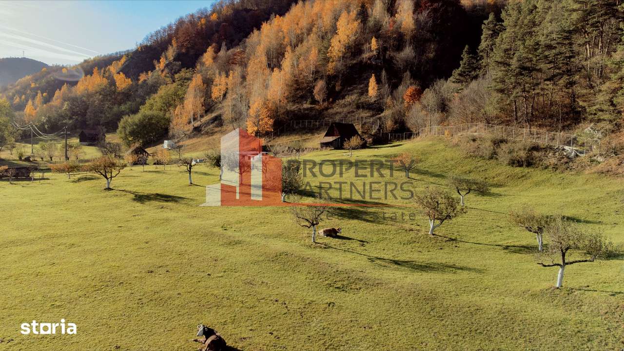 Teren Moieciu 8206 mp - Oportunitate de investitie-5