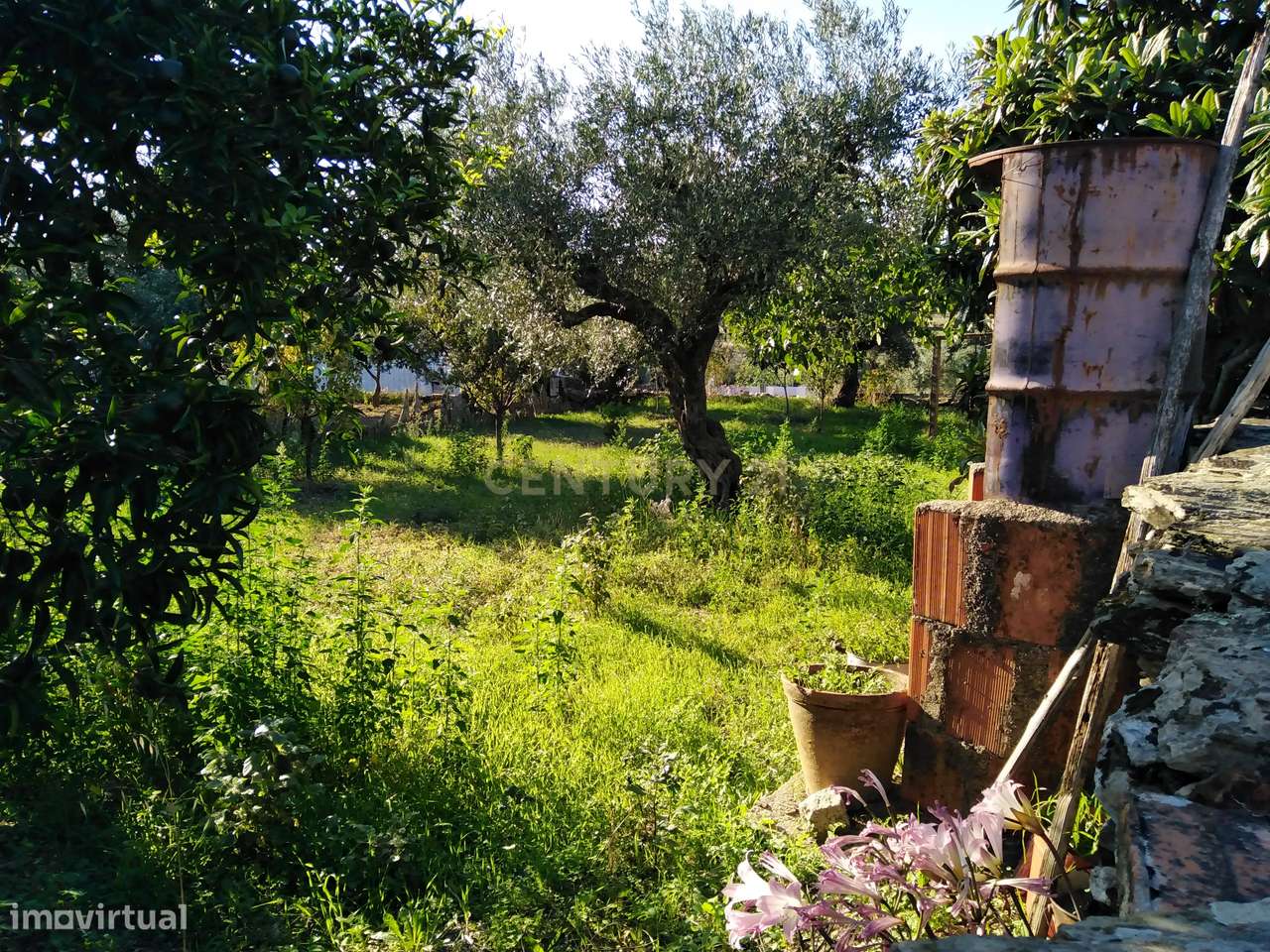 Terreno Rústico com duas construções, Amarelos, Castelo Branco - Grande imagem: 4/7