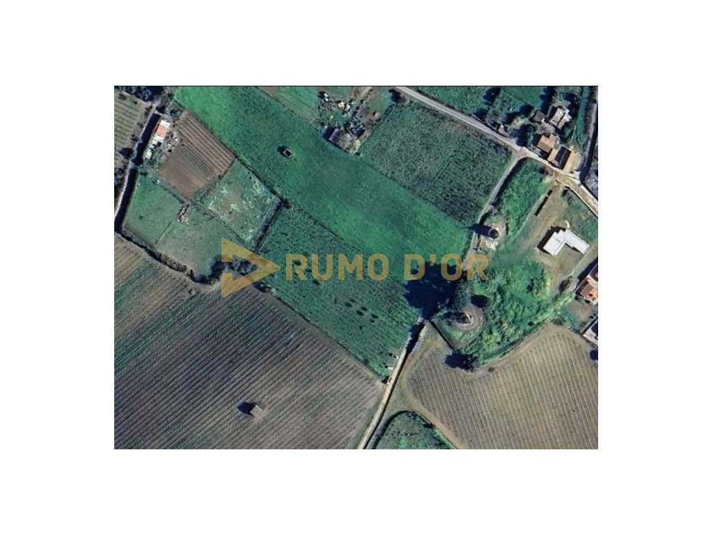 Terreno Rústico com 4.800 m² em Curvel - Torres Vedras-8