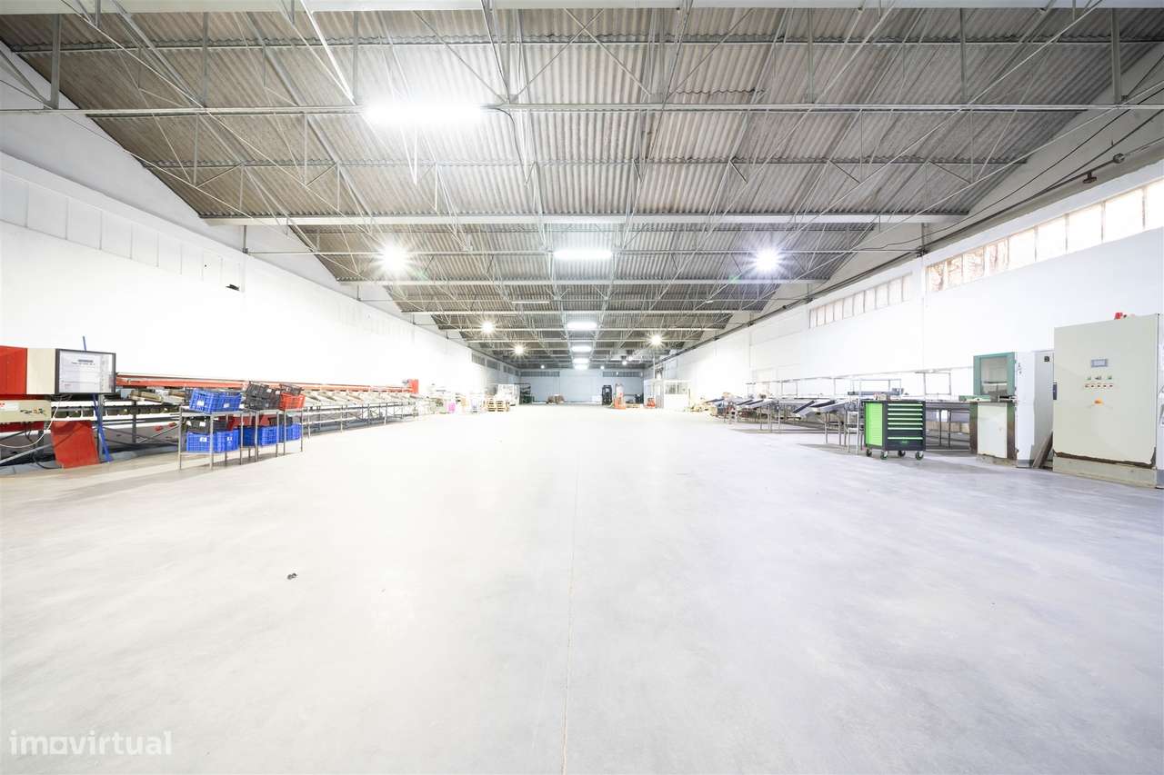 Armazém com 2737 m2 - Grande imagem: 5/12