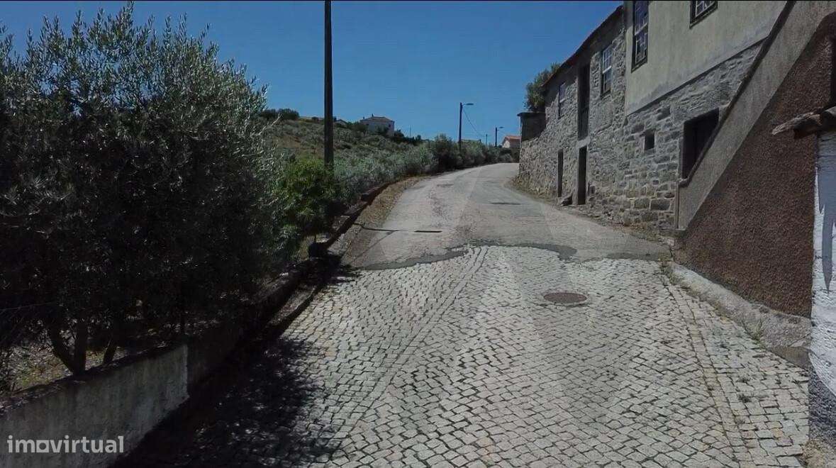 Venda Quinta/Herdade de 280m2,000,Para recuperar em São João da Pesque - Grande imagem: 5/8