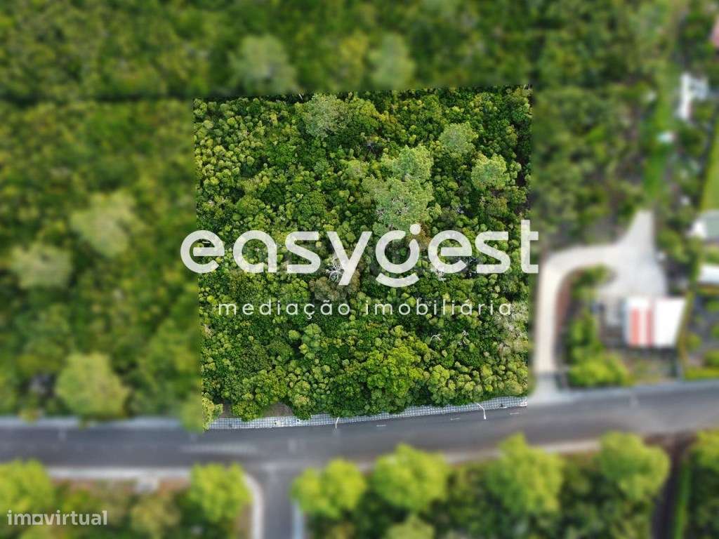 Terreno para construção em Santo António, São Roque do Pico - Grande imagem: 4/14