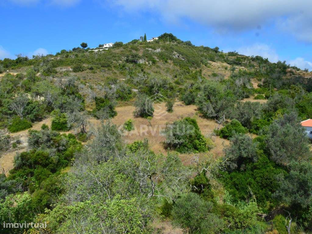 Terreno de 9.654m2 com ruína, Loulé, Algarve - Grande imagem: 2/15