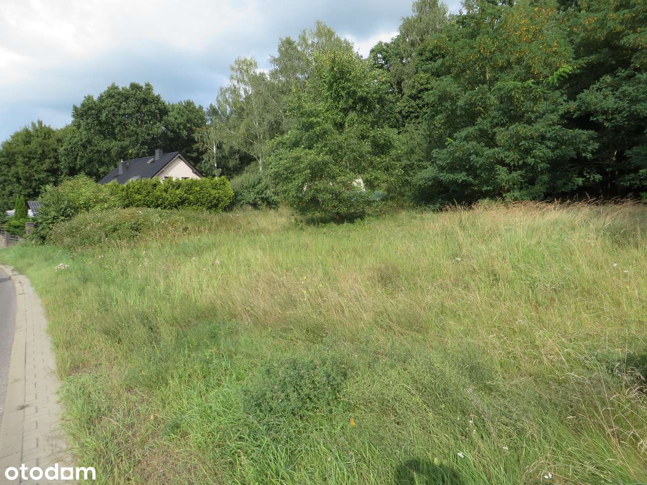 Działka w Czepinie przy ul. Gryfińskiej z warunkami zabudowy - Pełny obrazek: 2/8