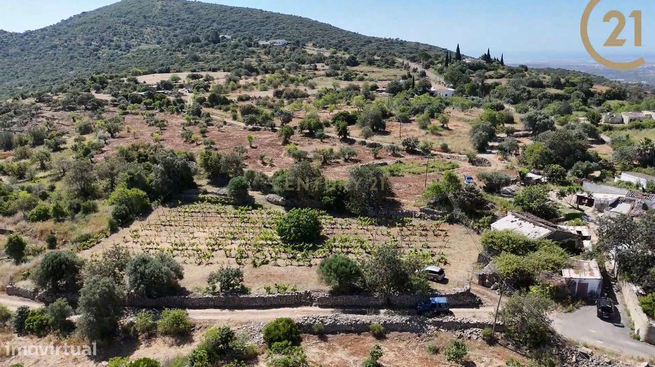 39.000€  Terreno em Barranco de S. Miguel, Olhão - Grande imagem: 4/9