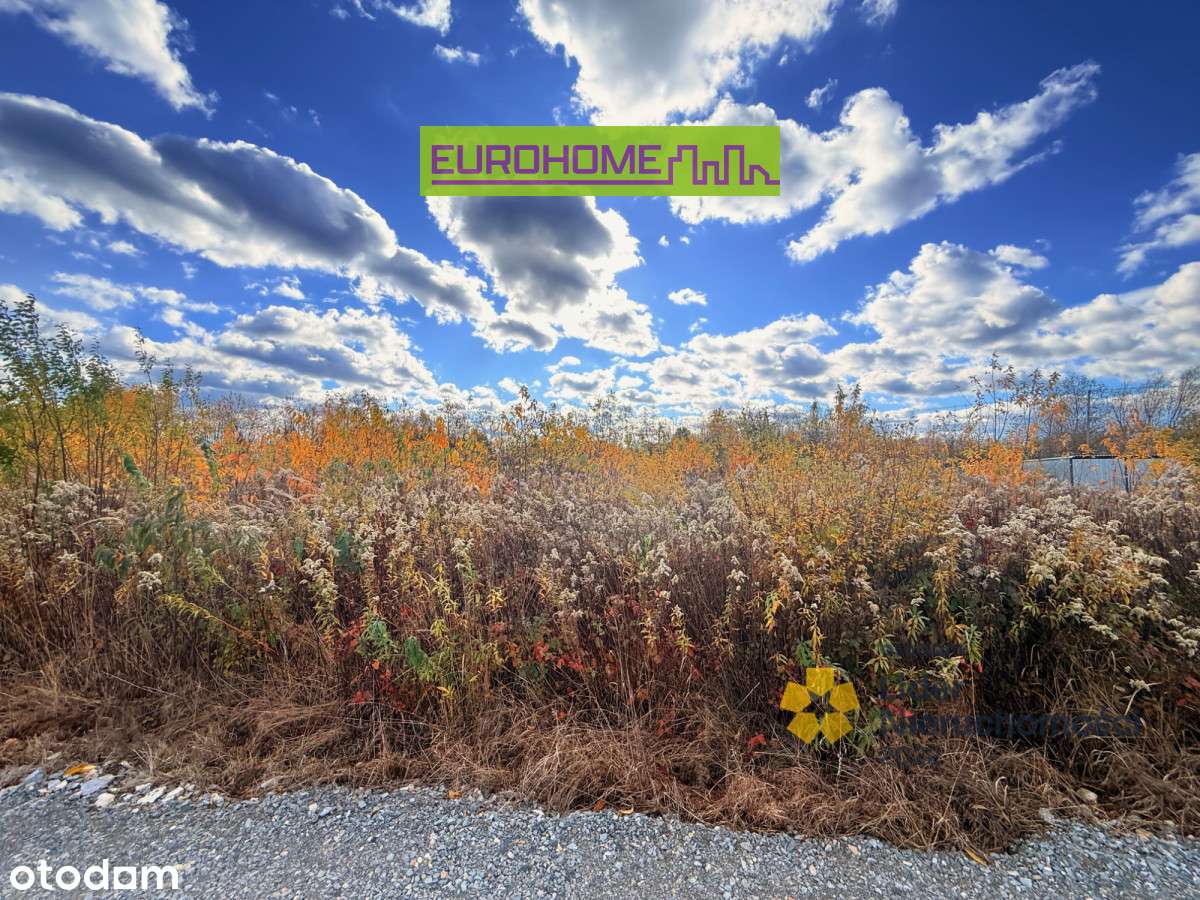 Duża działka w Maliniu  | 19,58 ar | - Pełny obrazek: 4/10