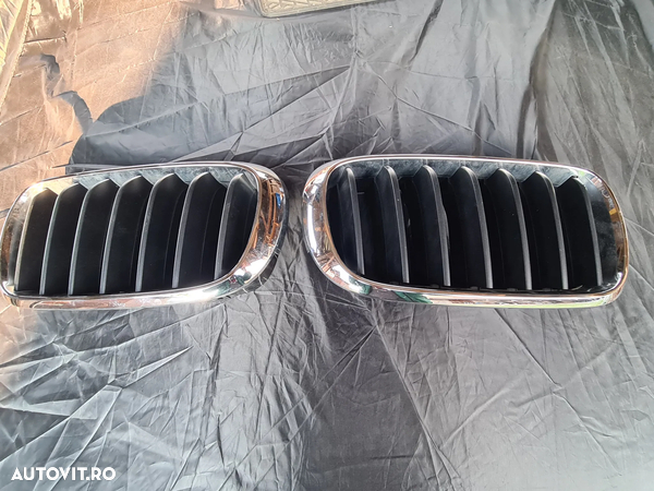 Grilă Radiator BMW X5 F15 - 1