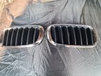 Grilă Radiator BMW X5 F15 - 1